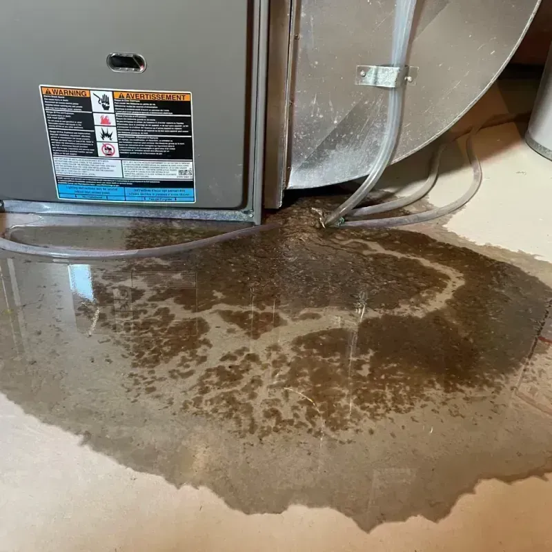 Appliance Leak Cleanup in Bolivar, WV